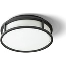 RENDL R13677