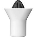 RIG-TIG Citrus Z00035