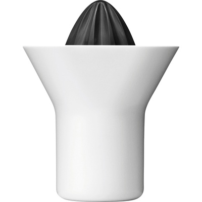 RIG-TIG Citrus Z00035