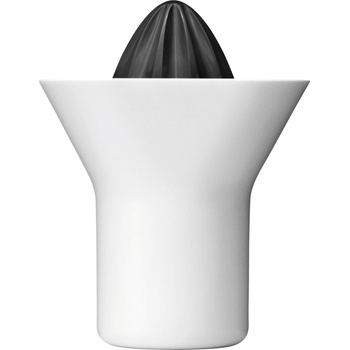 RIG-TIG Citrus Z00035