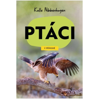V přírodě: Ptáci