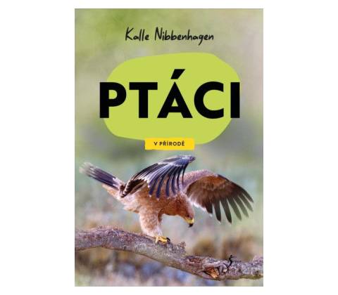 V přírodě: Ptáci