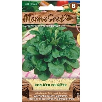 Semínka MoravoSeed Kozlíček polníček 62500
