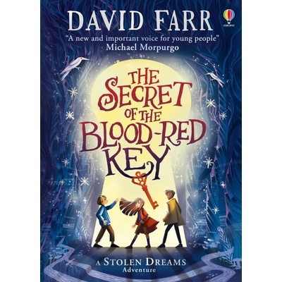 The Secret of the Blood-Red Key Usborne Publishing