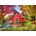 Bluebird Puzzle - Puzzle Davison: Sunny Autumn At The Barn - 500 piese