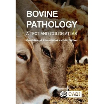 Bovine P Buergelt Claus D. Professor Emeritus Professor Emeritus University of Florida USA