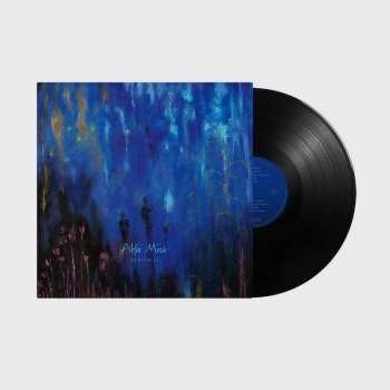 Alfa Mist - Variables LP