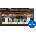 Martinic Pianet T (Дигитален продукт)