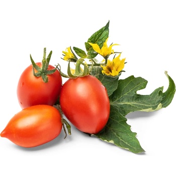 VÉritable (Франция) Пълнител (лингот) Red Cherry Tomato за настолна градина Véritable® - чери домати (VLIN-L5-Tom016)