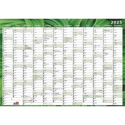 Nástěnný roční 600 x 420 mm Listy 2027
