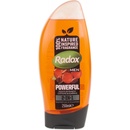 Sprchové gely Radox Men Feel Powerful 2in1 sprchový gel 250 ml