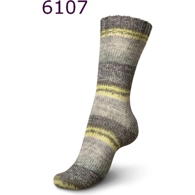 Regia 6-ply Nordic Nature Color 6107 Mitternachtssonne