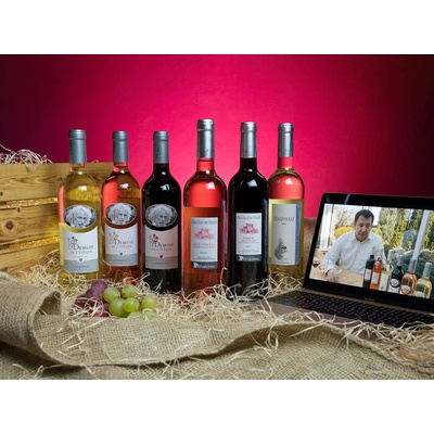 Domácí degustace vín Vína z vinic Pierra Richarda a Gérarda Depardieu bedna šesti druhů vína