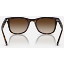 Image 1 of Ray-Ban Havana RB4420 710/13