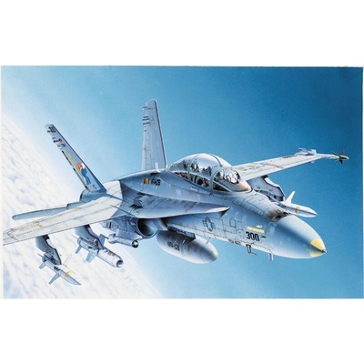 Italeri Model Kit letadlo 0016 F A 18C D WILD WEASEL 1:72