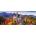 Ravensburger - Puzzle Castello dating in Neuschwanstein, Bavaria - 1 000 piese