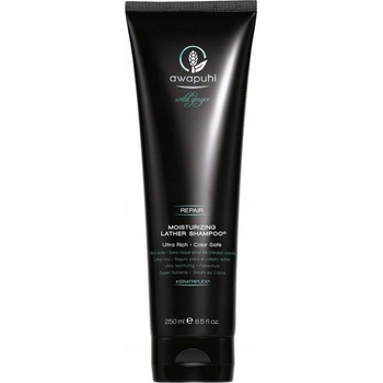 Paul Mitchell Awapuhi Wild Ginger Smooth šampon 250 ml