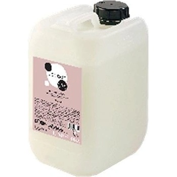 Inebrya Ice Cream Dry T Shampoo 10 l