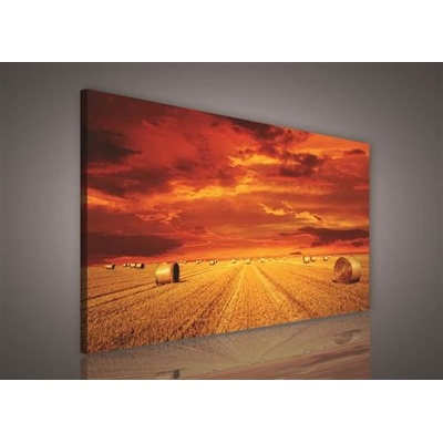 Obraz na plátně pole po žních 198O1, 100 x 75 cm, IMPOL TRADE