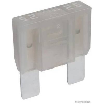 Pojistka HERTH+BUSS ELPARTS 50295549066