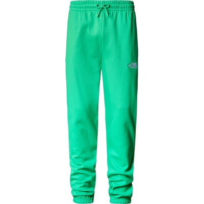 The North Face Essentials sweatpants nf0a7zjb-po8