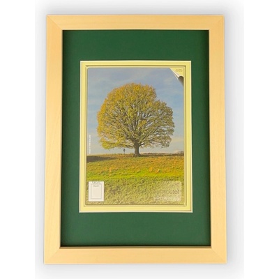 Pasparta Tmavo Zelená Rozmer: 40 x 60 cm, Vnútorný výrez pasparty (Veľkosť obrázka): 30 x 40 cm