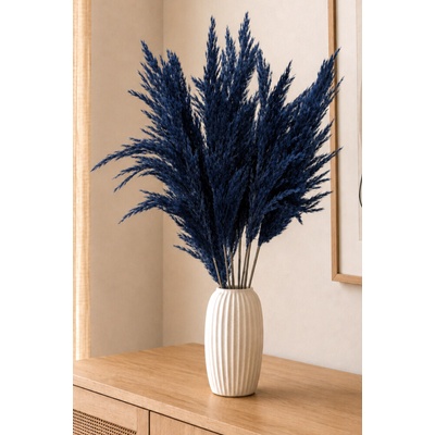 Sušená pampová tráva (pampas) tmavě modrá 10ks, 50-60cm