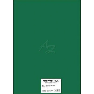 STEPA Barevný karton EXTRA 300g 50x70cm - tmavě zelený 10listů