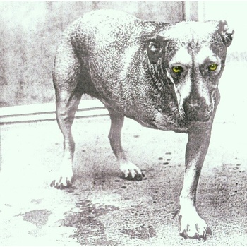 Alice In Chains - Alice In Chains (CD) (5099748111425)