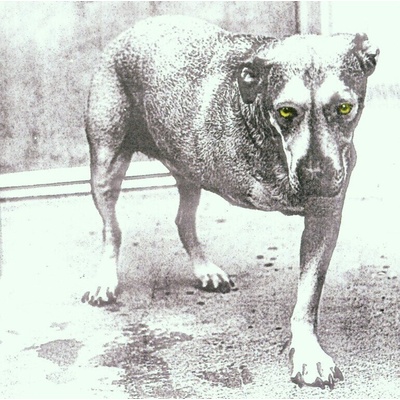 Alice In Chains - Alice In Chains (CD) (5099748111425)