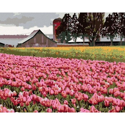 zuty Malování Podle Čísel Růžové Tulipány Na Louce Dennis Frates 40 x 50 Cm Plátno Rám
