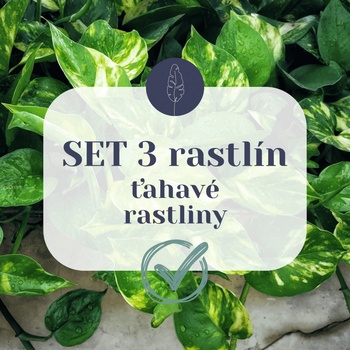 SET 3 Ťahavých rastlín