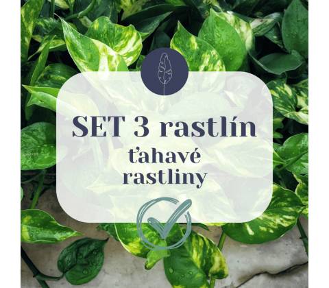 SET 3 Ťahavých rastlín