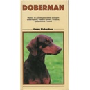 Doberman