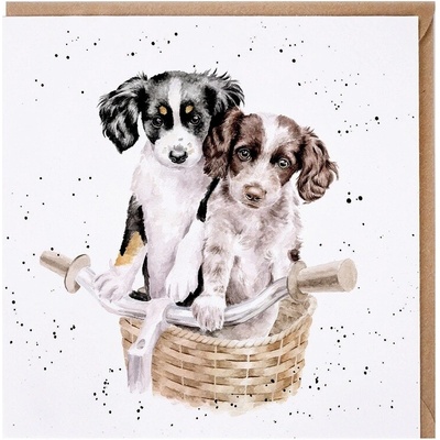 Přání Wrendale Designs "Paws and Pedals", 15x15 cm - Pejsci