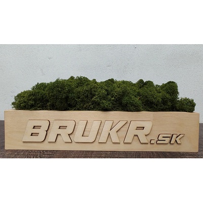 Stabilizovaný mach - Nórsky lišajník - medium green ( olivovo zelený ) 4kg
