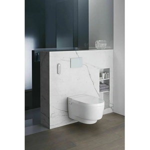 Geberit Стенна тоалетна Geberit Aquaclean Mera Comfort в алпийско бяло с електрическа функция за биде (146.210.11.1)