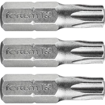Fortum Връх FORTUM TORX, комплект от 3, T 30 x 25 мм, S2 4741430 (4741430)