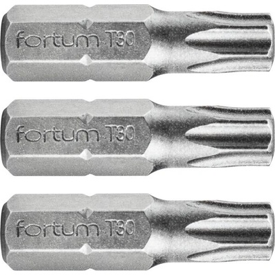 Fortum Връх FORTUM TORX, комплект от 3, T 30 x 25 мм, S2 4741430 (4741430)