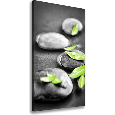 Vertikálny foto obraz na plátne Lístie kamenia zen 50x100 cm