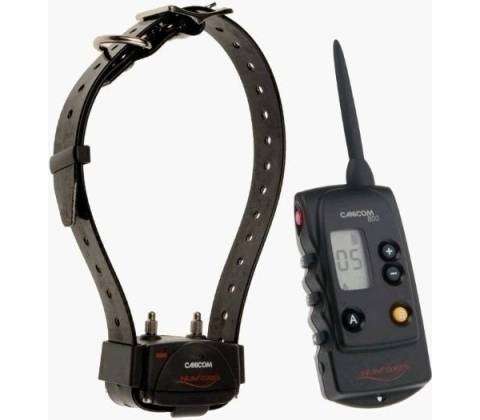Num´Axes Canicom 800