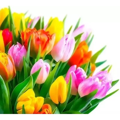 Malování podle čísel Kytice tulipánů
