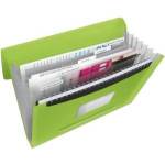 Esselte Briefcase with 6 compartments esselte vivida, green