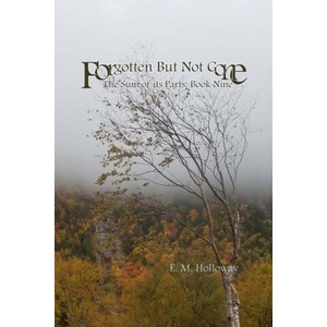 Forgotten But Not Gone | E. M. Holloway (2020)