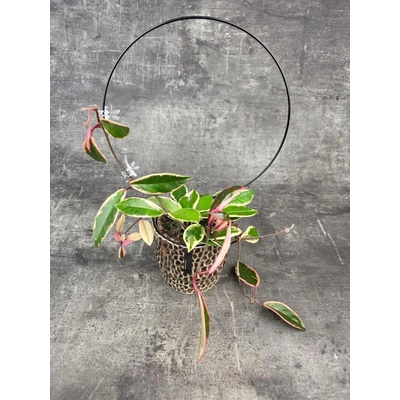 Opora kovová Kruh, průměr 26 cm