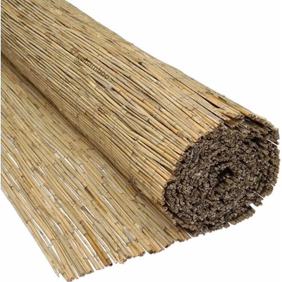 Trstinový plot PREMIUM š 600 x v 160 cm (Rákosová rohož)