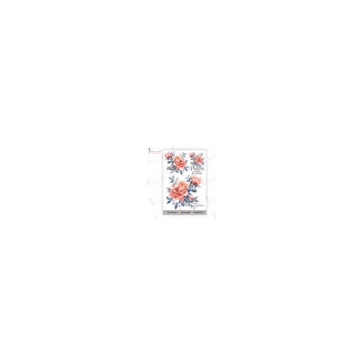 Transfer Me Mini Paris Blooms (Dress My Craft) nezařazeno DEKDMCDP6514