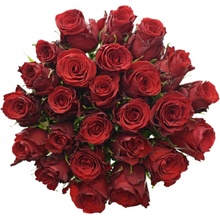 Kytice 25 rudých růží RED TORCH 60cm