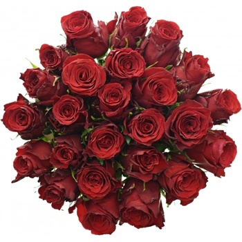 Kytice 25 rudých růží RED TORCH 60cm