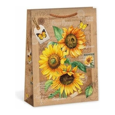ARGUS Dárková papírová taška T5N (23.3 x 31.3 cm) 07540133